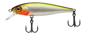 Minnows and Jerkbaits