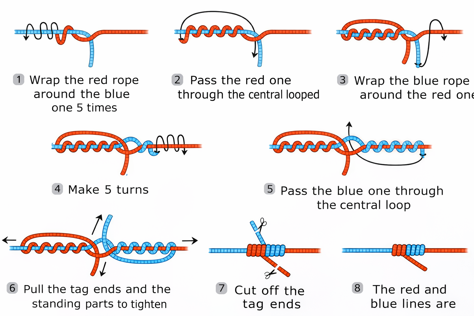 blood knot step by step tutorial