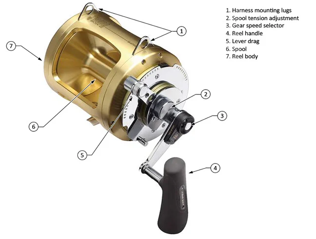 conventional fishing reel parts diagram spool drag lever