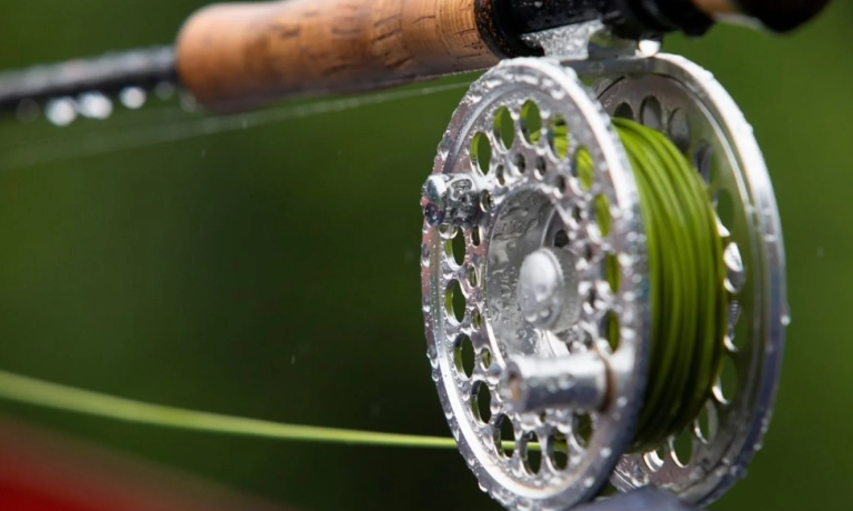 Fly Fishing Reel Guide: Setup, Techniques & Buying Tips