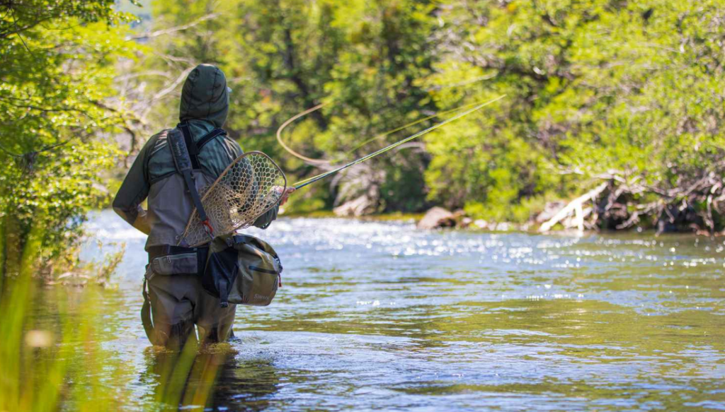 angler fly fishing for trout in clear mountain river
