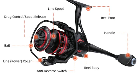 spinning reel parts diagram showing spool rotor bail and drag