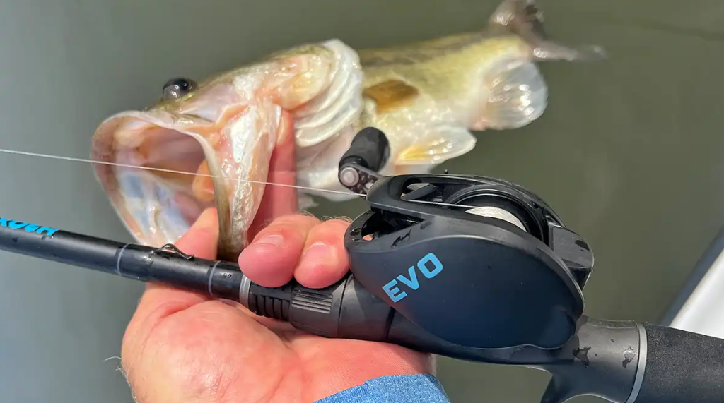 angler casting baitcasting reel while bass fishing