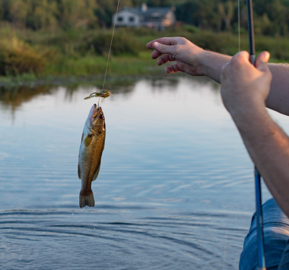 Fall Bass Fishing Mastery – Feeding Frenzy to Winter Prep