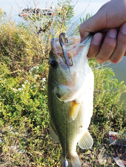 A bass fishing lure ready to be cast