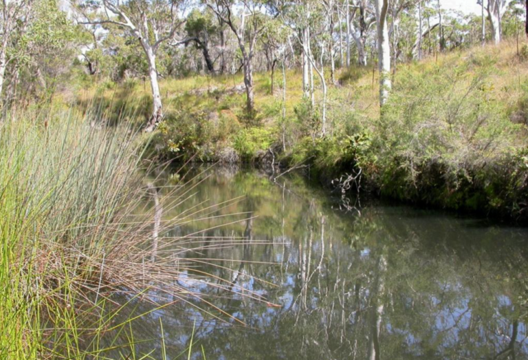 How to Find Fish When Lure Fishing: 7 Proven Tips