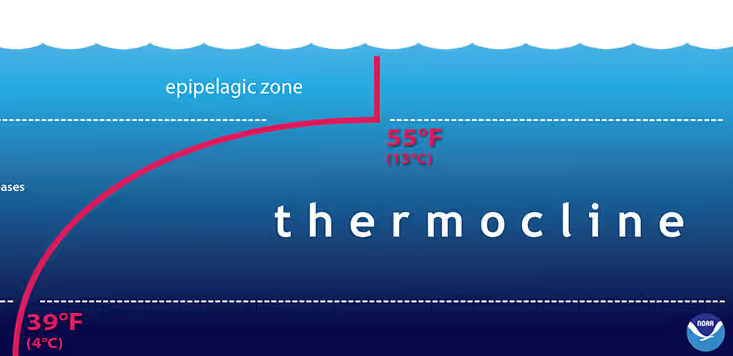 Summer Lure Fishing: What the Thermocline Is and How to Find It