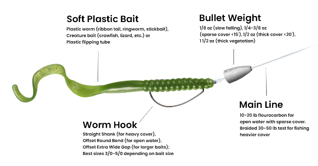 texas rig bass fishing setup diagram with bullet weight hook and soft plastic lure