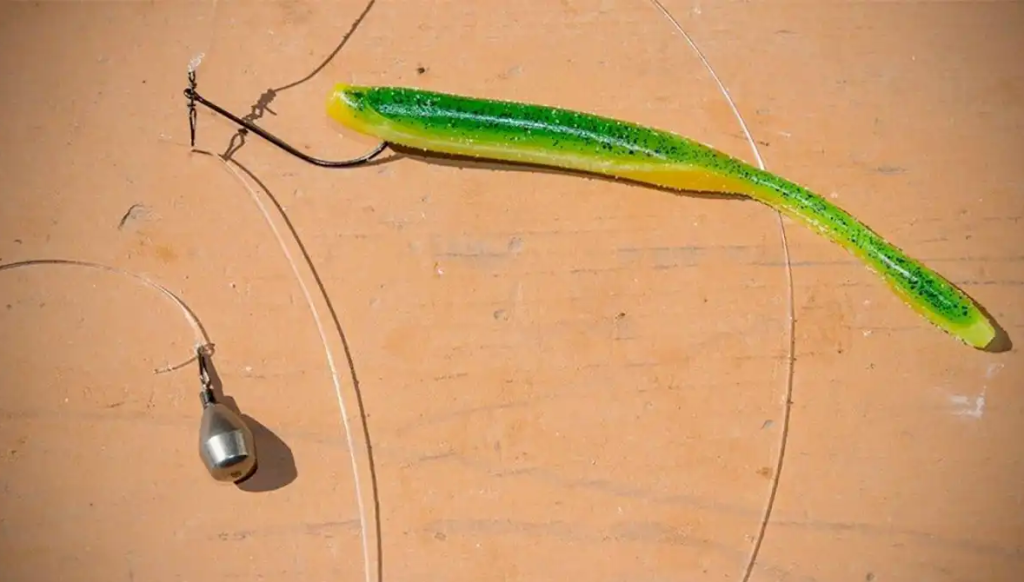 drop shot rig soft plastic worm bass fishing lure setup