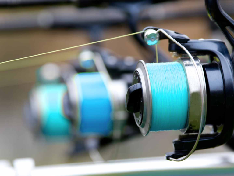 Best Fishing Line for Beginners: Complete Lure Fishing Guide