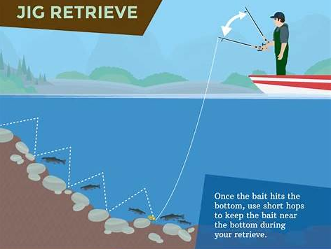 illustrated lure jig retrieve near bottom with rod action