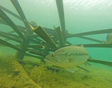 How to Find Fish: Proven Techniques to Locate More Fish