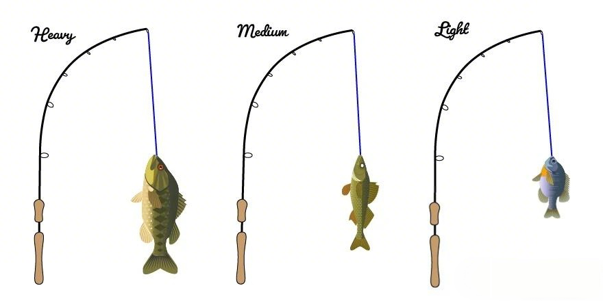 Lure Rod Selection