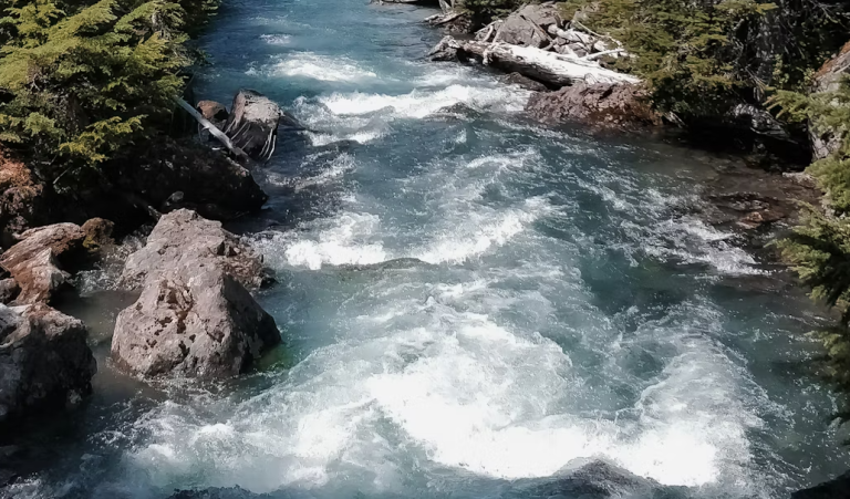 How to Find Fish in a River: Best Spots and Water Reading Tips