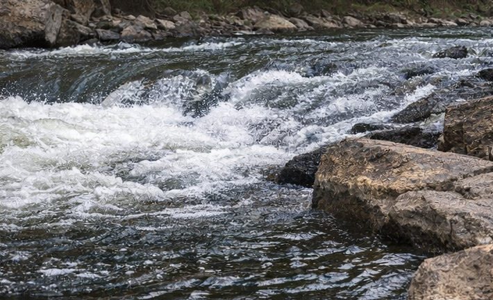How to Read Water for Fishing: Find More Fish in Moving Water